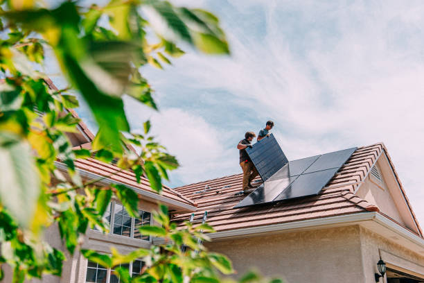 Best Roof Moss and Algae Removal  in Ballville, OH